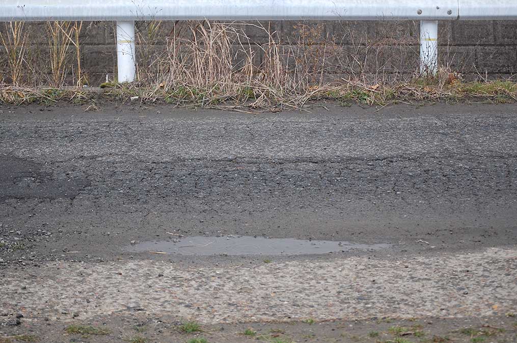 雨宿り