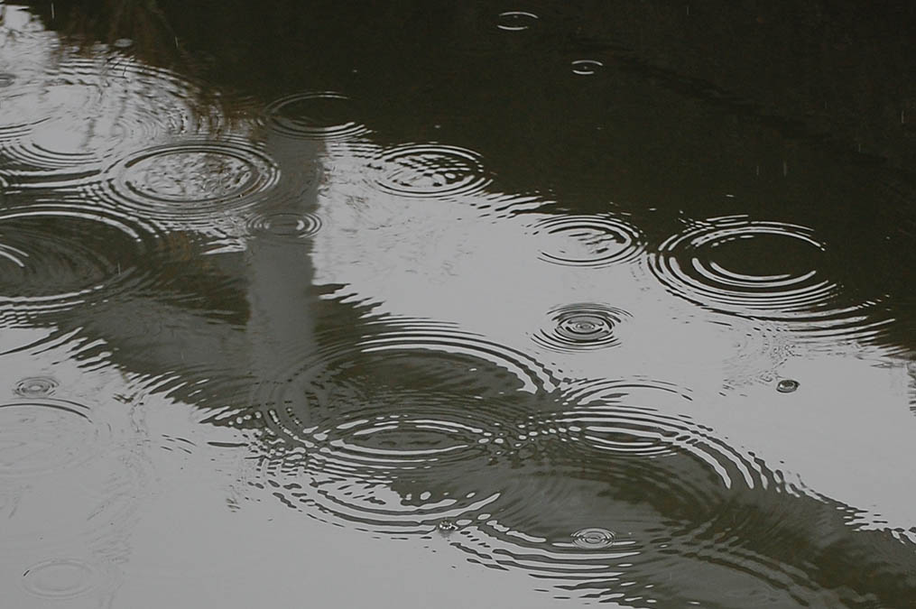 雨