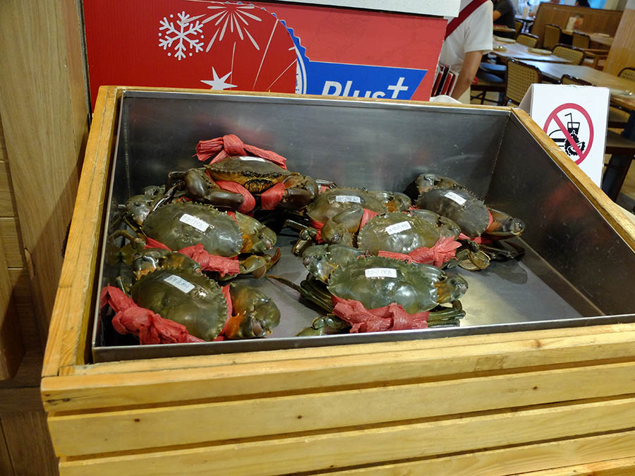ゴミだらけの国際線出発ロビー