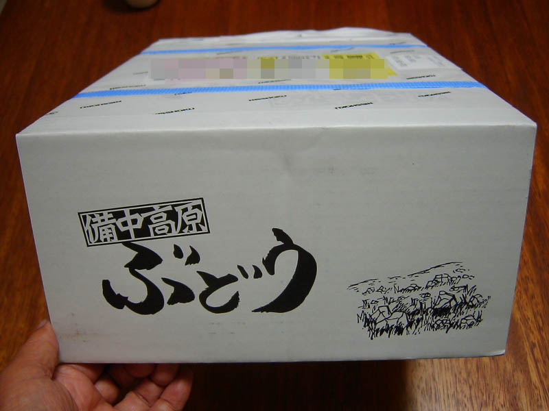 ふるさと納税返礼品の備中高原ぶどう