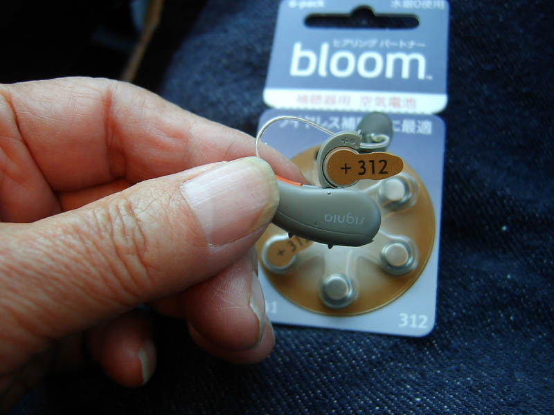 大神神社朔日詣り