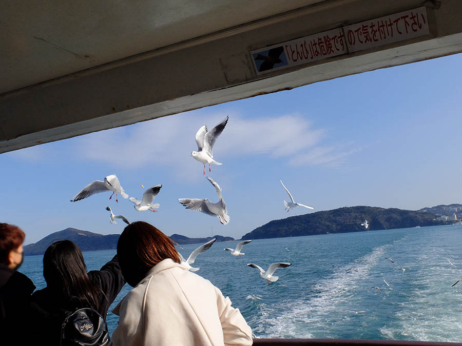 遊覧船でカモメの餌やり