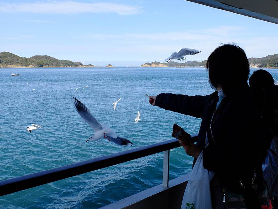遊覧船でカモメの餌やり