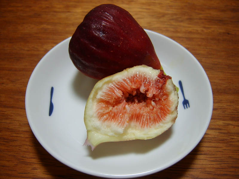 イチジク