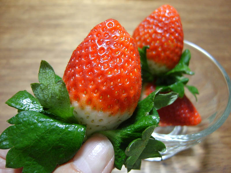 イチゴ