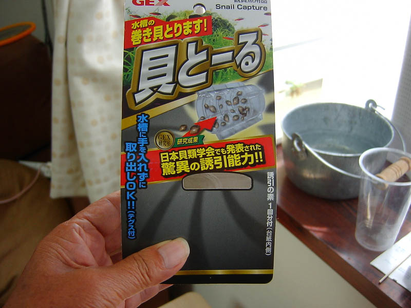 貝とーる
