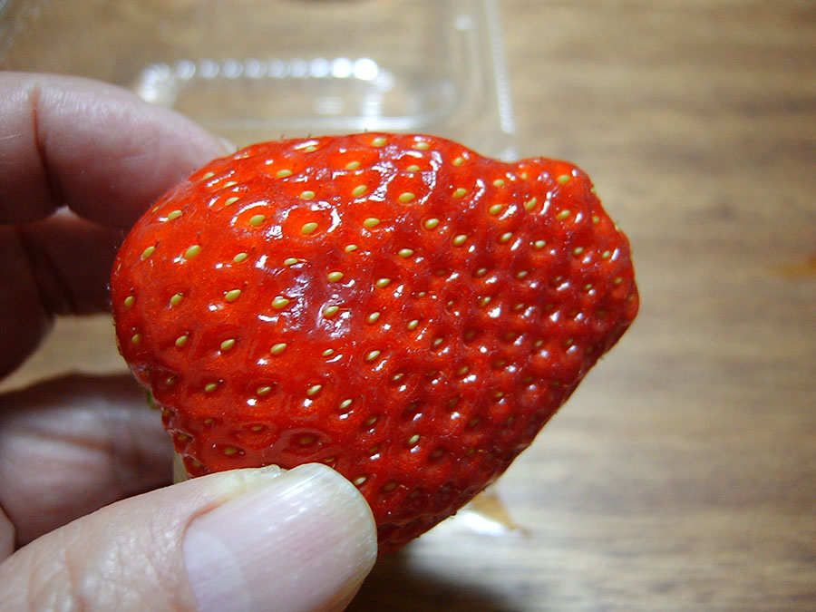古都華
