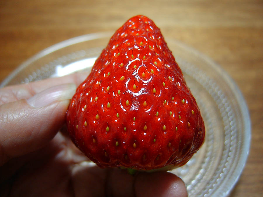 奈良のいちご古都華