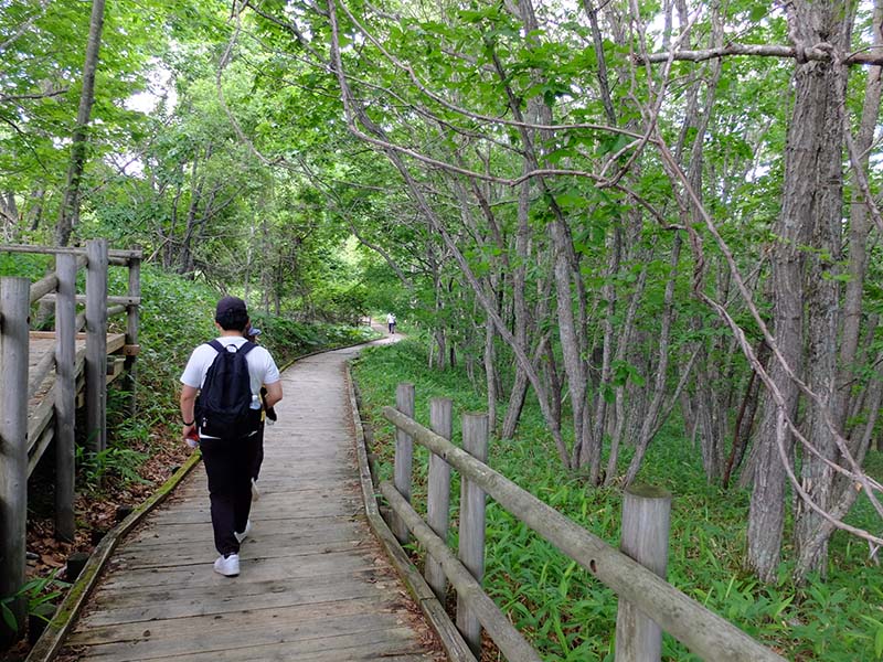 釧路湿原北斗展望台園地