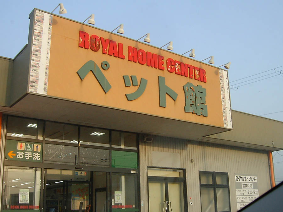 メダカの餌を購入