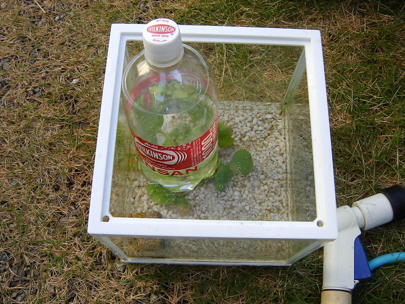 バームクーヘン