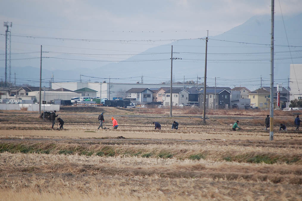 川堀