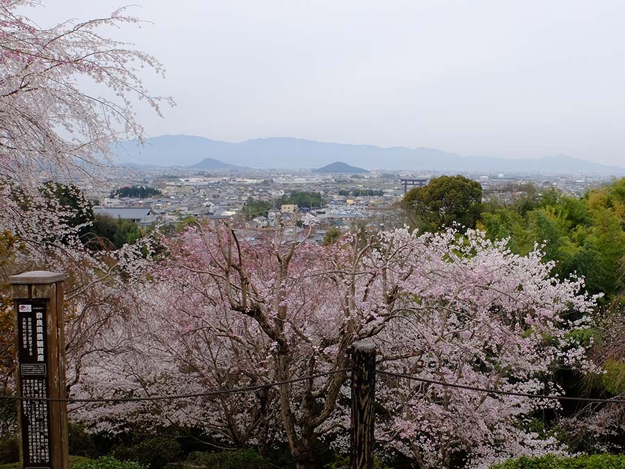 大神神社朔日参り