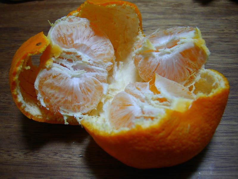 大神神社朔日詣り