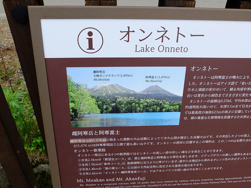 エゾシカ