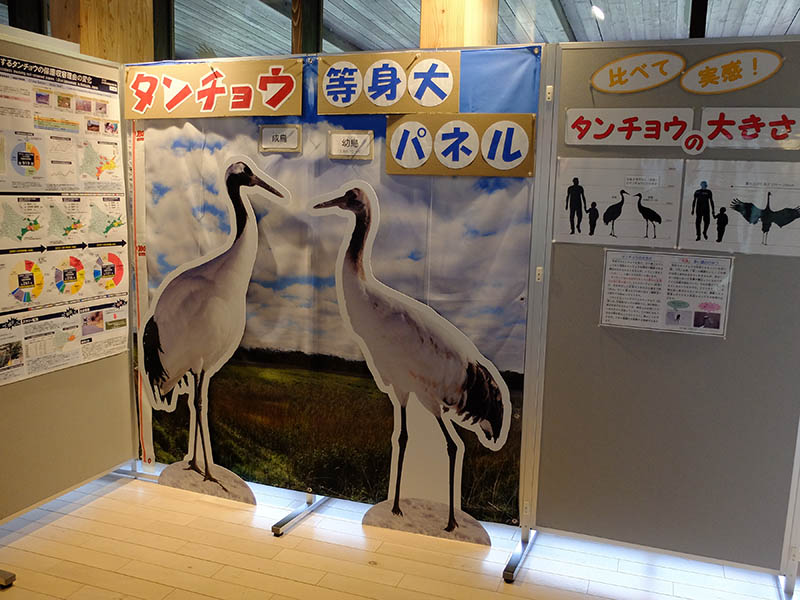 釧路湿原温根内ビジターセンター