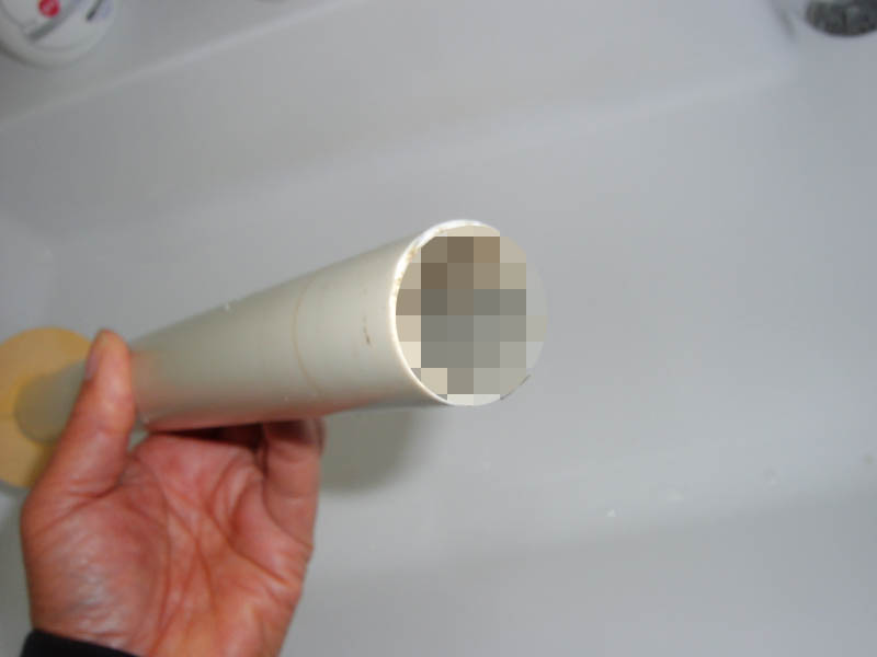 大神神社朔日詣り