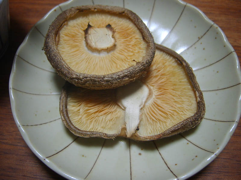 大神神社朔日詣り