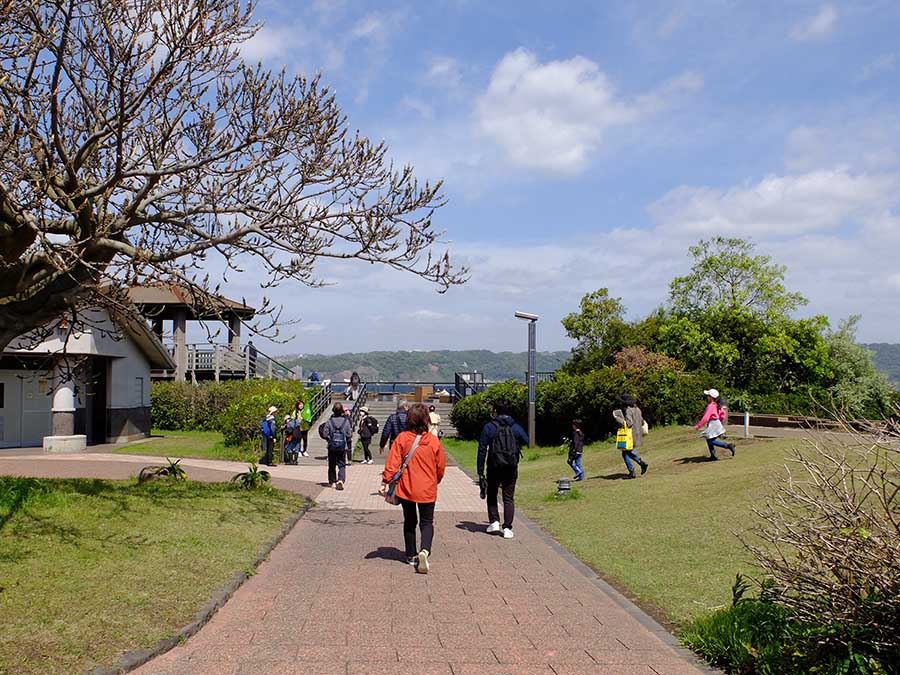 桜島ビジターセンター