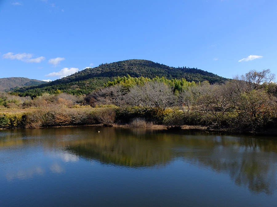 山辺の道