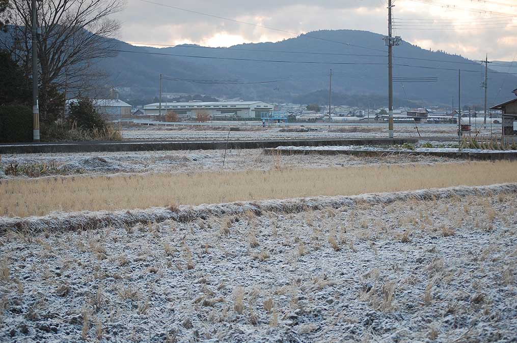雪