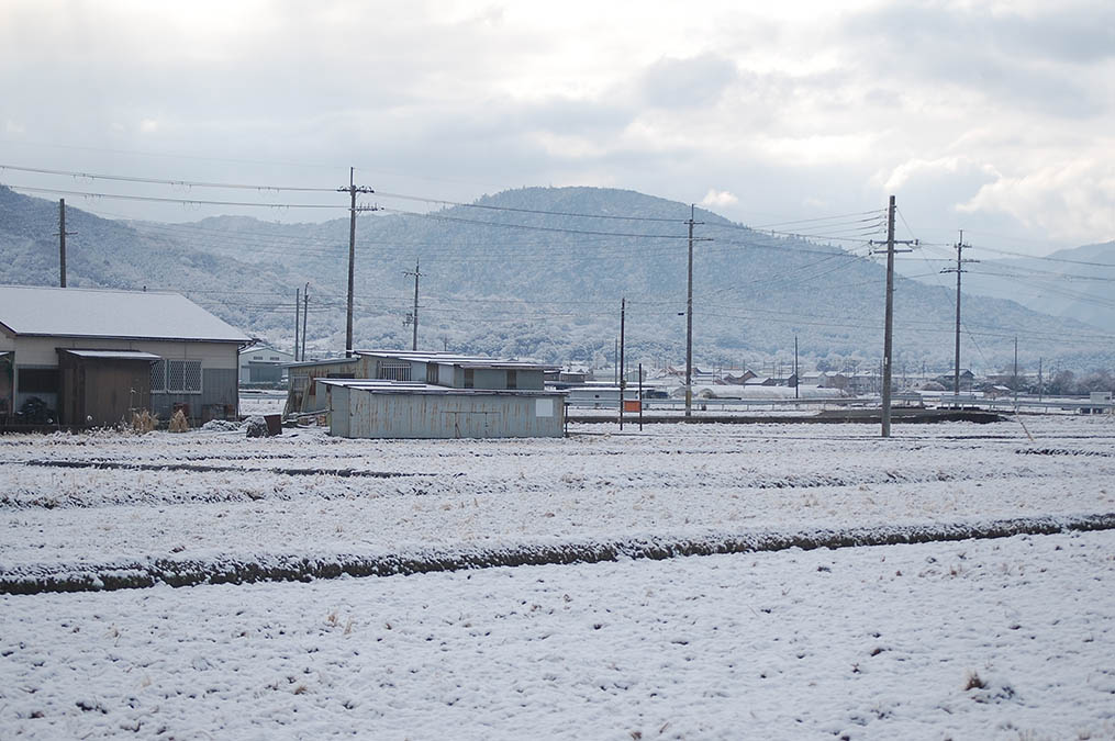 雪