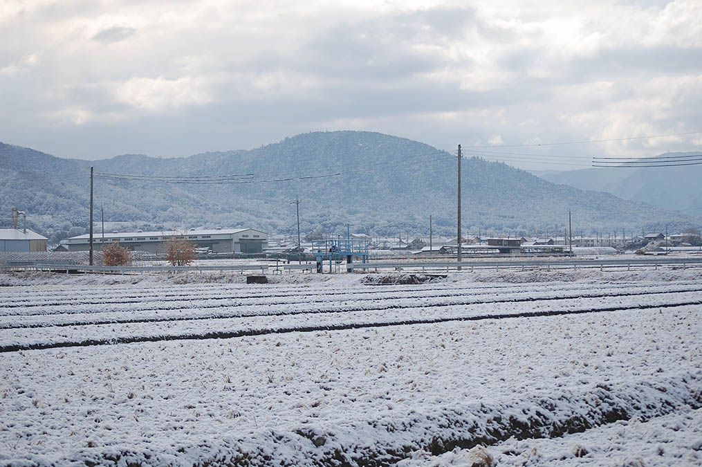 雪