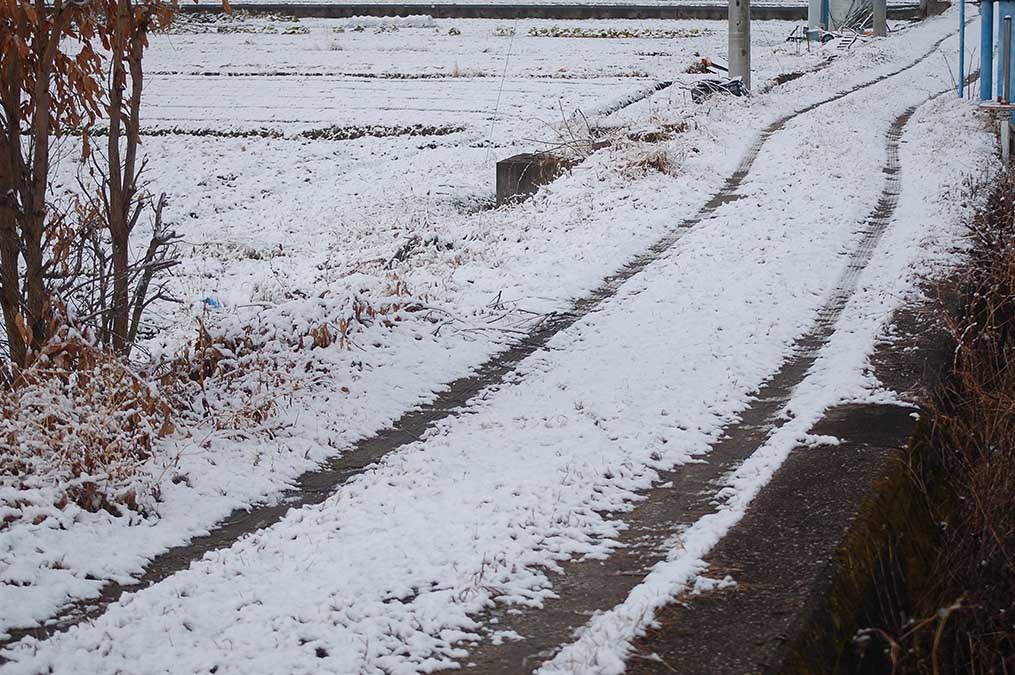 雪