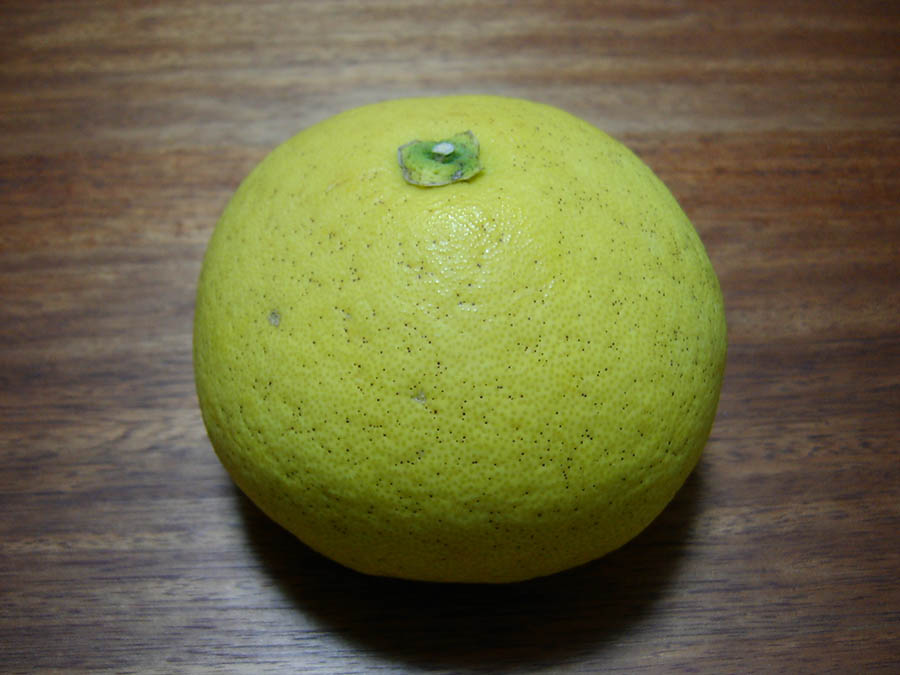 ザボン