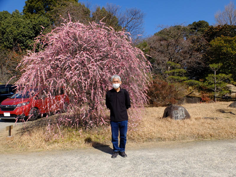 大和郡山城跡へ