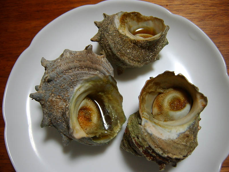 サザエのつぼ焼き