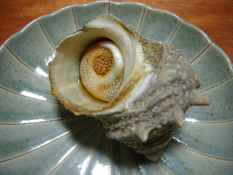 サザエのつぼ焼き