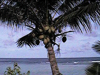guam