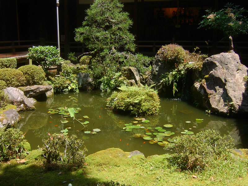 古池