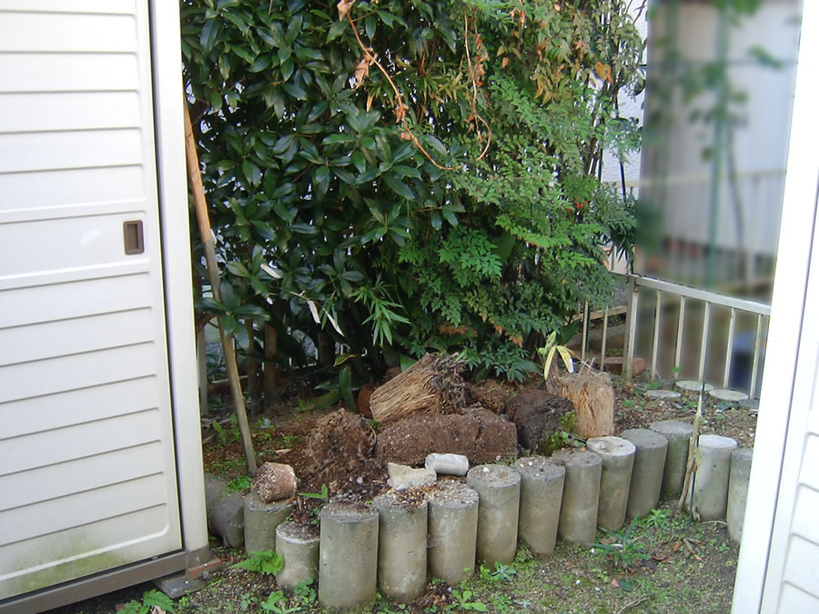 裏鬼門の植木