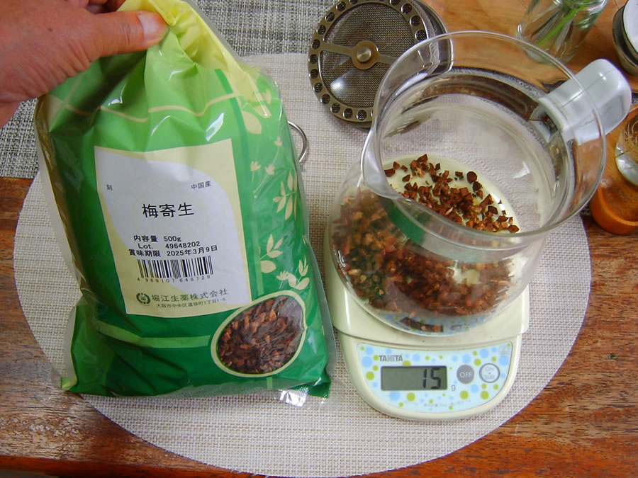 梅寄生