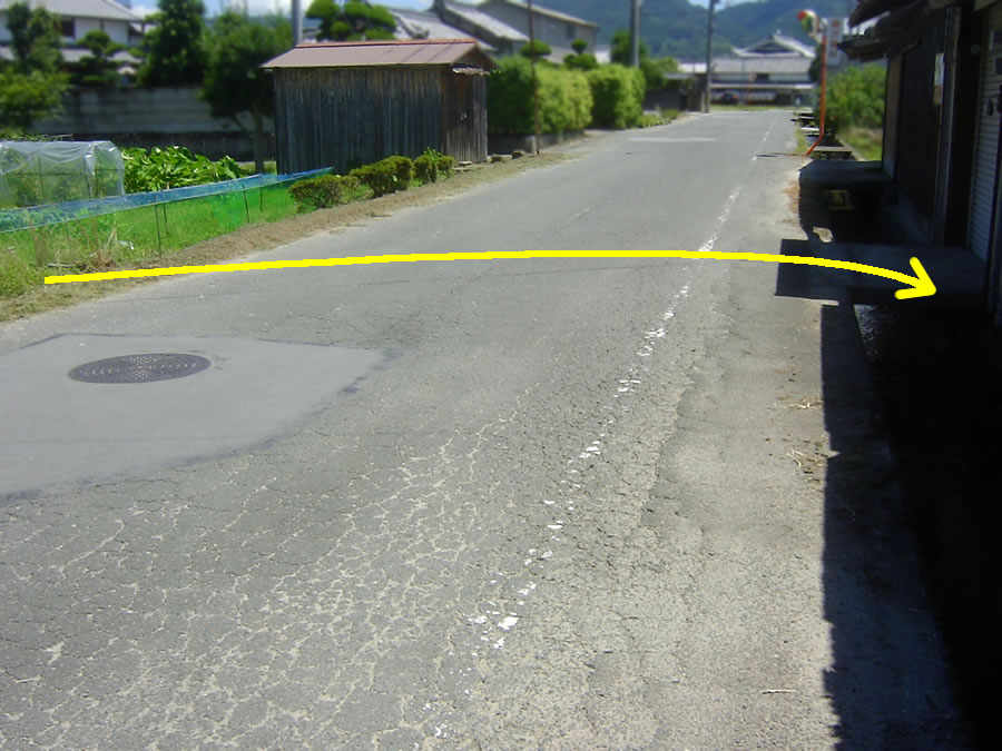 イタチ