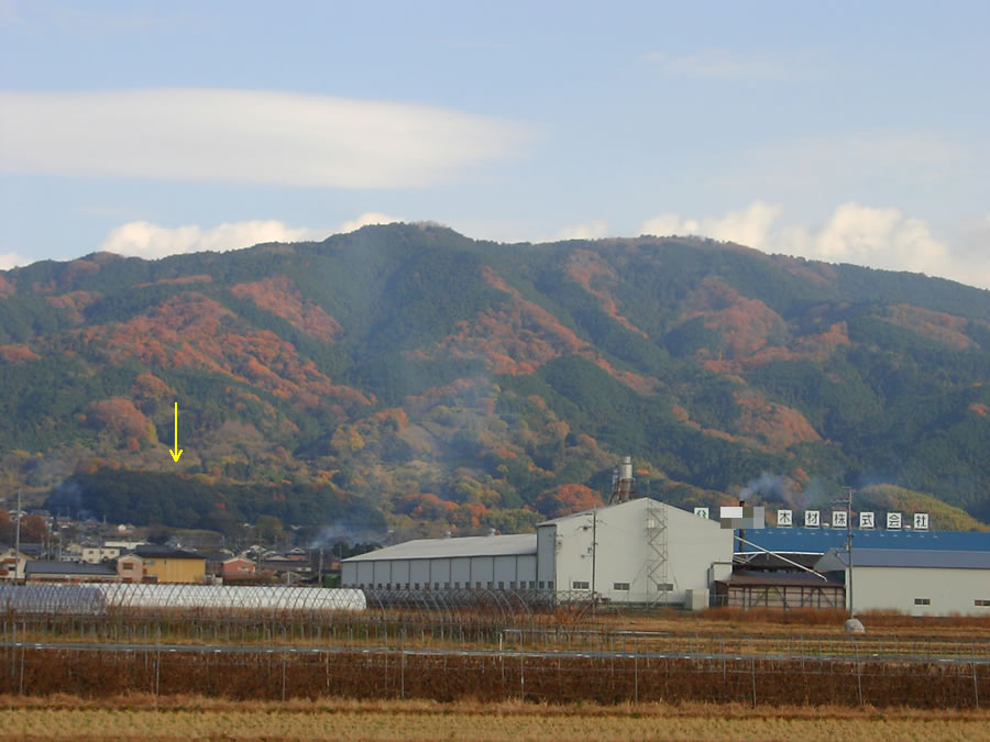 竜王山の黄葉