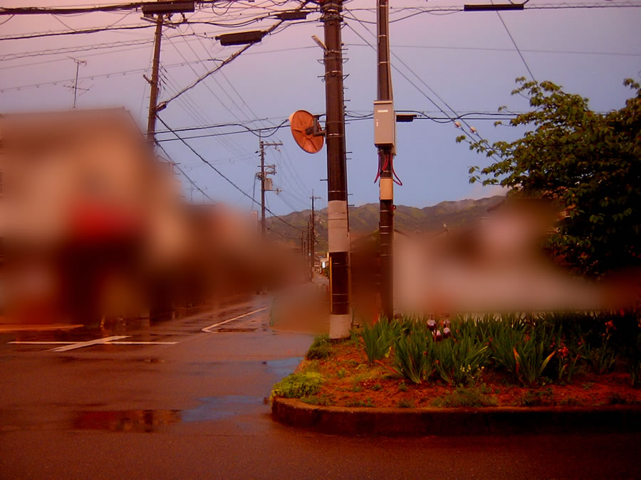 夕映え