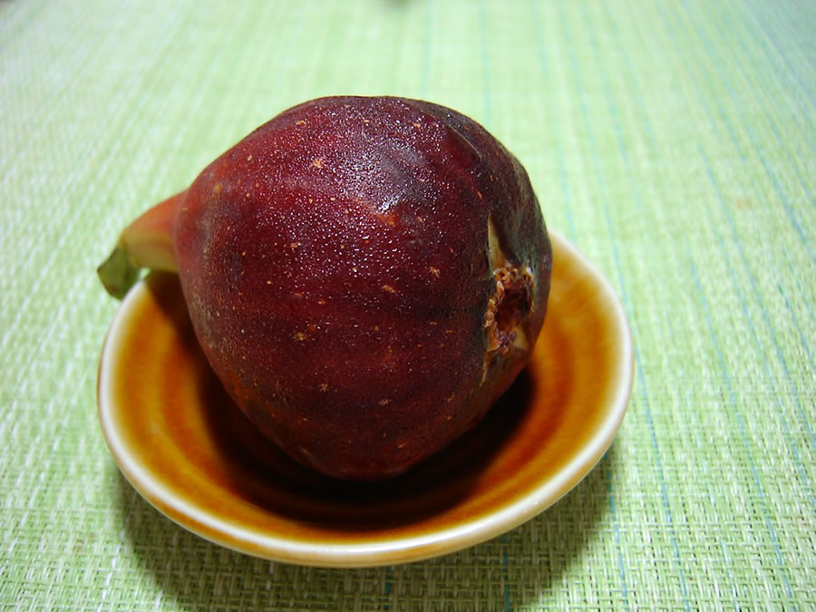 イチジク