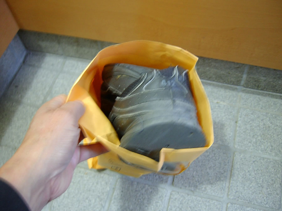 散歩に履いていた靴を廃棄
