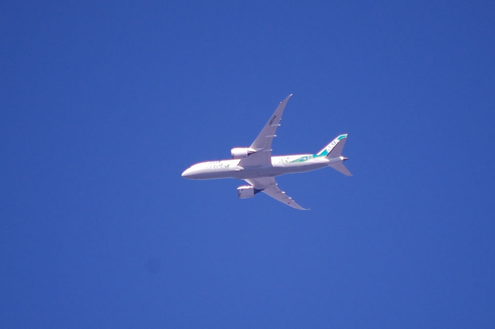 全日空グリーンジェットJA874A