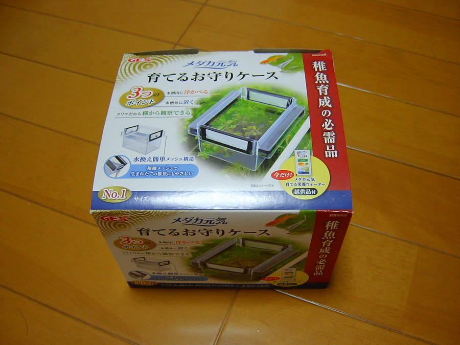 メダカの稚魚を育てるお守りケース