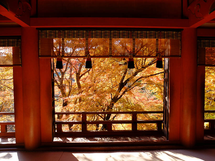 談山神社へ紅葉狩り