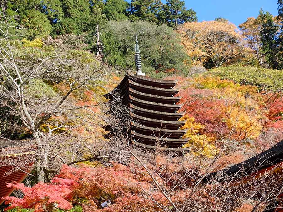 談山神社へ紅葉狩り